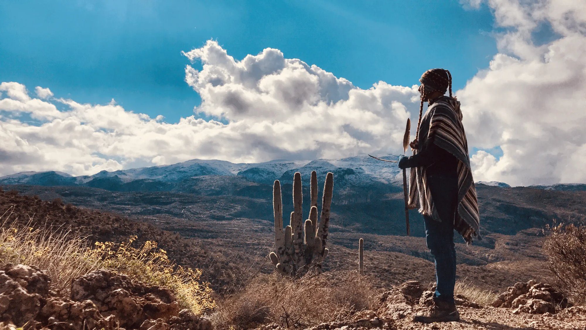 A figure in a striped poncho standing on a desert ridge, a tall saguaro cactus below and a snow dusted mountain range behind under high cloud.