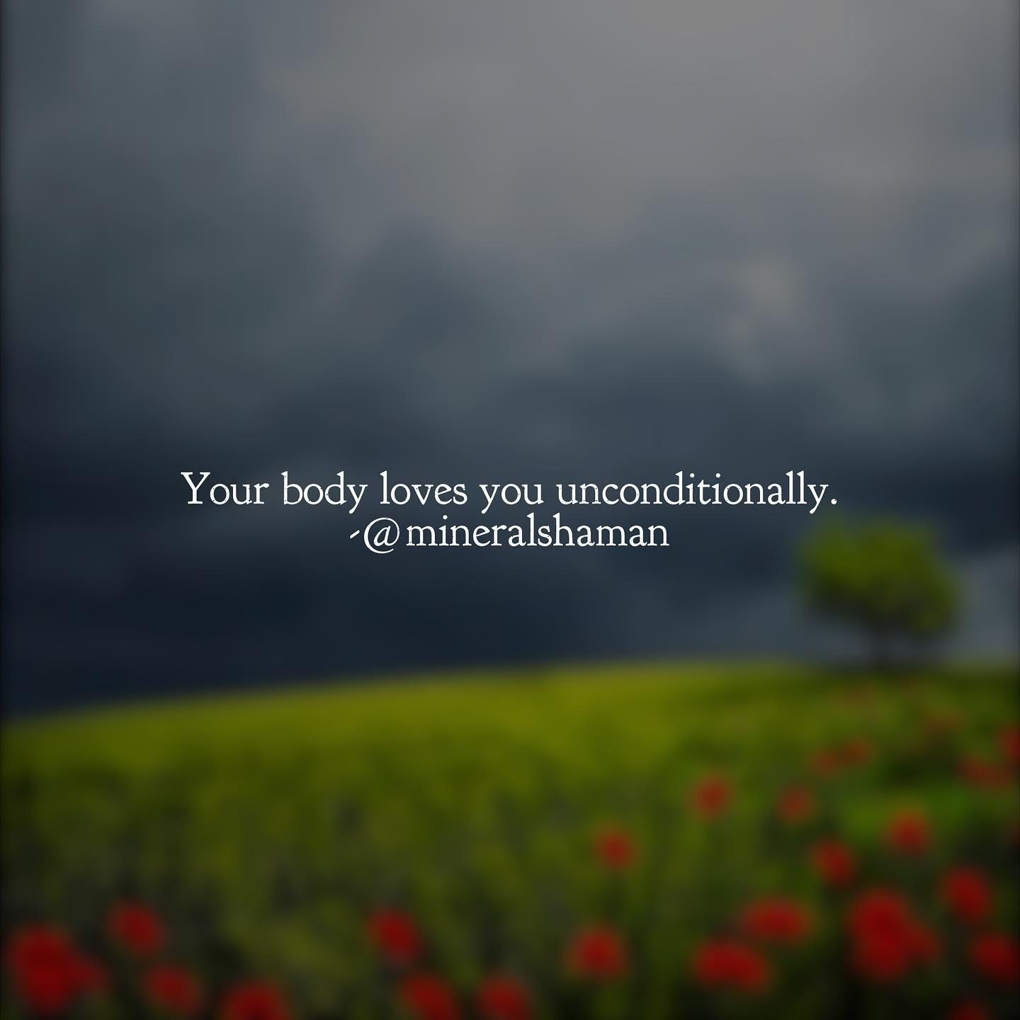 A field of red poppies under a storm sky, with the words: Your body loves you unconditionally.