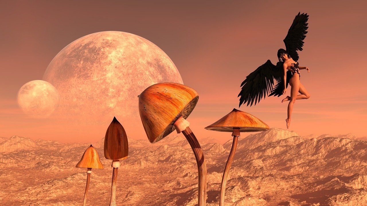 A digital illustration of four tall mushrooms on thin stems rising from a pink rocky desert under two moons, with a woman on black feathered wings flying beside them.